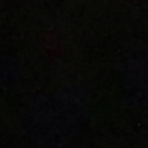 Meet your Posher, Darlene